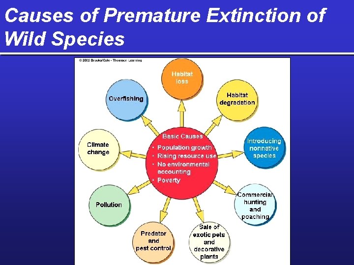 Causes of Premature Extinction of Wild Species 
