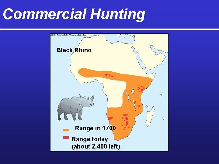 Commercial Hunting Black Rhino Range in 1700 Range today (about 2, 400 left) 