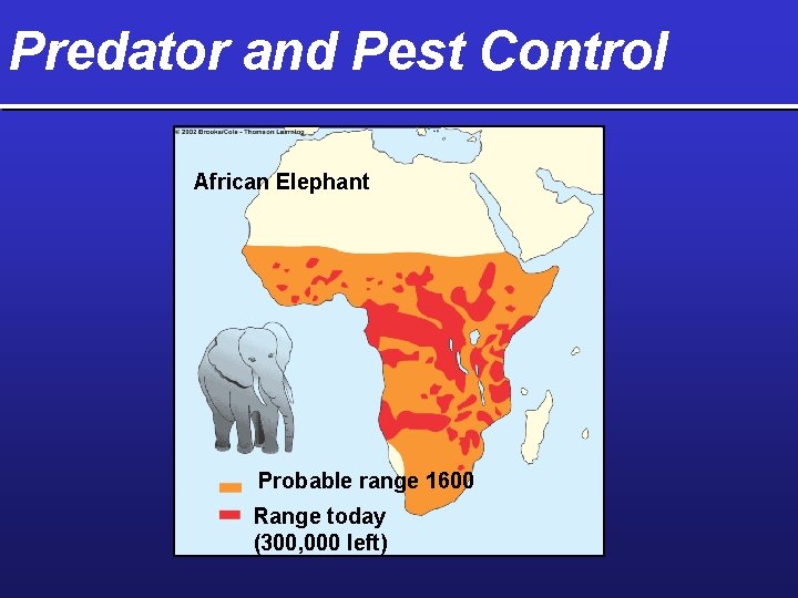 Predator and Pest Control African Elephant Probable range 1600 Range today (300, 000 left)