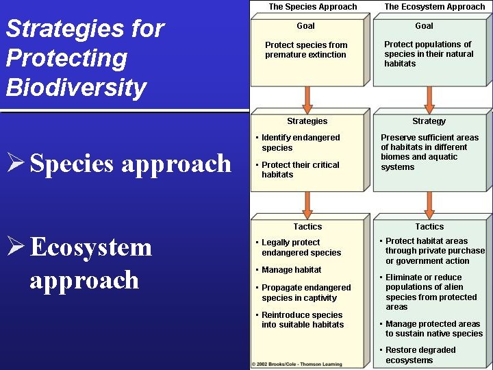 Strategies for Protecting Biodiversity Ø Species approach Ø Ecosystem approach 