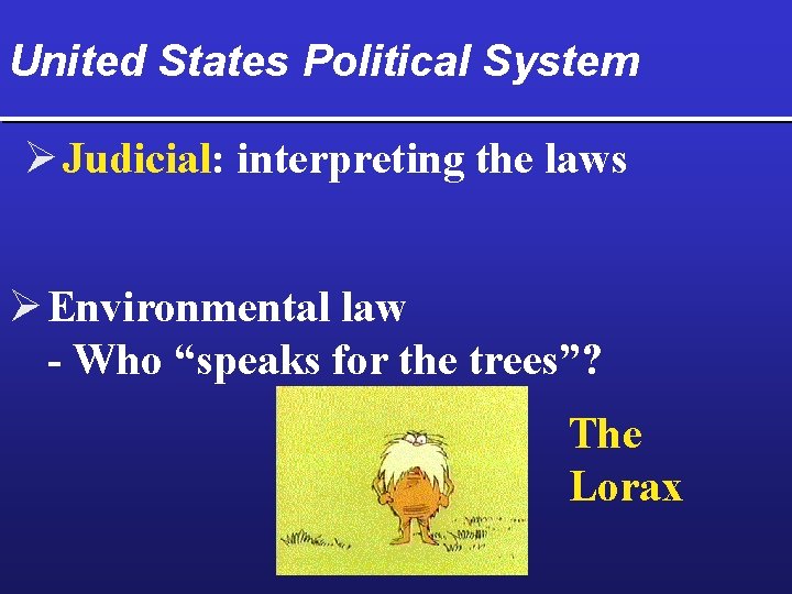 United States Political System Ø Judicial: interpreting the laws Ø Environmental law - Who