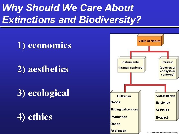Why Should We Care About Extinctions and Biodiversity? 1) economics 2) aesthetics 3) ecological