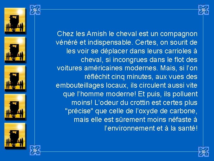 Chez les Amish le cheval est un compagnon vénéré et indispensable. Certes, on sourit