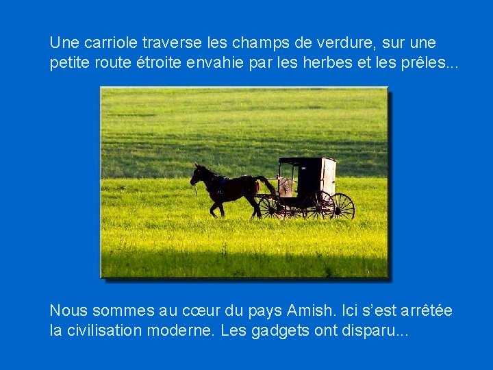 Une carriole traverse les champs de verdure, sur une petite route étroite envahie par