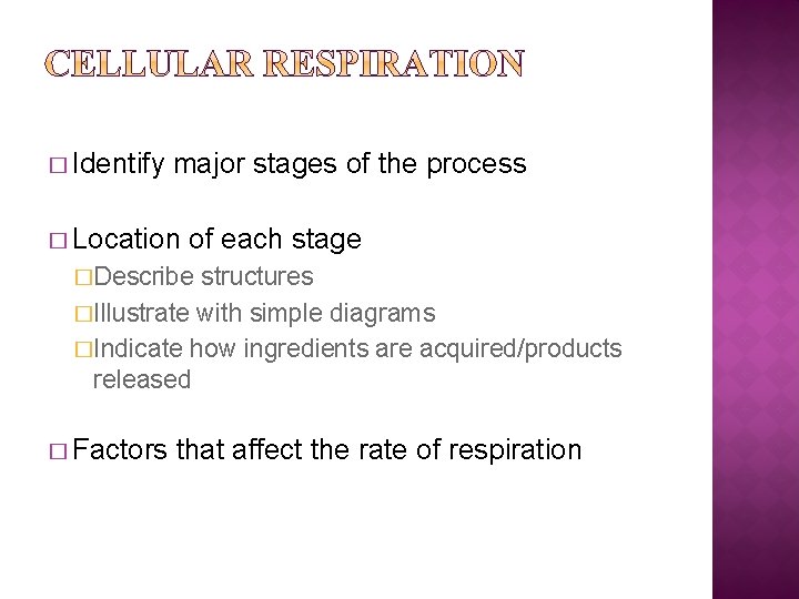 � Identify major stages of the process � Location of each stage �Describe structures