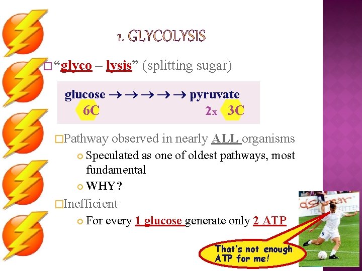 � “glyco – lysis” (splitting sugar) glucose pyruvate 2 x 3 C 6 C