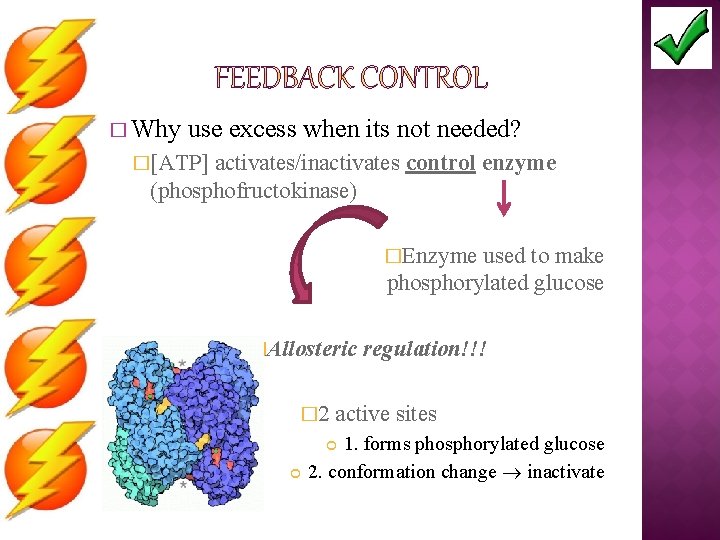 � Why use excess when its not needed? �[ATP] activates/inactivates control enzyme (phosphofructokinase) �Enzyme