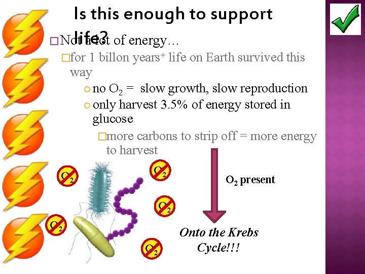 Is this enough to support life? � Not a lot of energy… �for 1