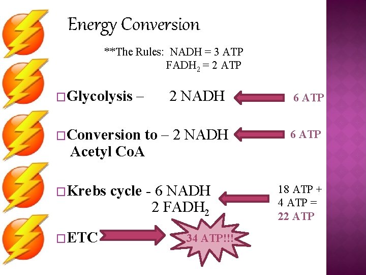 Energy Conversion **The Rules: NADH = 3 ATP FADH 2 = 2 ATP �Glycolysis