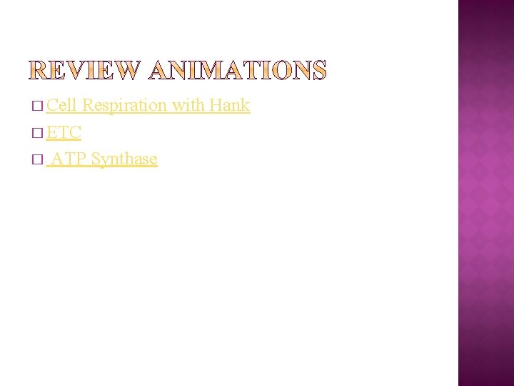 � Cell Respiration with Hank � ETC � ATP Synthase 