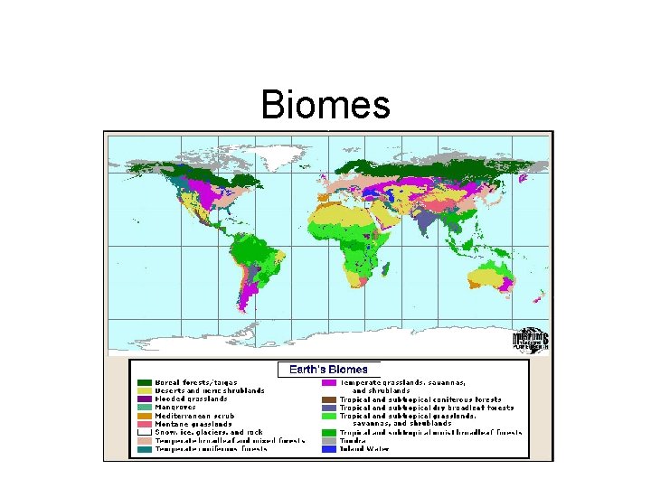 Biomes 