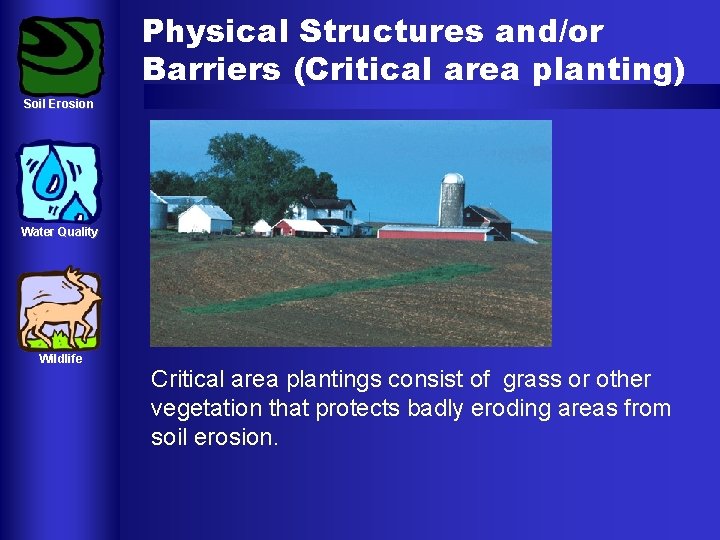 Physical Structures and/or Barriers (Critical area planting) Soil Erosion Water Quality Wildlife Critical area Physical Structures and/or Barriers (Critical area planting) Soil Erosion Water Quality Wildlife Critical area
