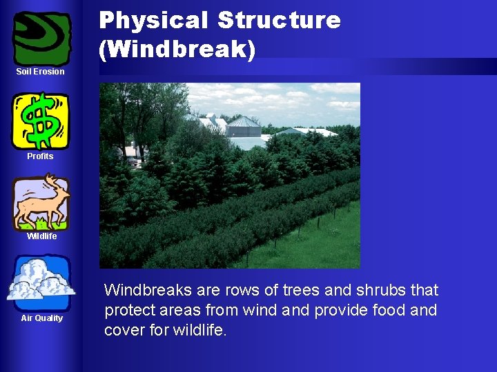 Physical Structure (Windbreak) Soil Erosion Profits Wildlife Air Quality Windbreaks are rows of trees Physical Structure (Windbreak) Soil Erosion Profits Wildlife Air Quality Windbreaks are rows of trees