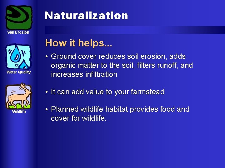 Naturalization Soil Erosion How it helps. . . Water Quality • Ground cover reduces Naturalization Soil Erosion How it helps. . . Water Quality • Ground cover reduces