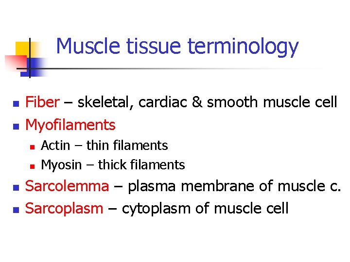 Muscle tissue terminology n n Fiber – skeletal, cardiac & smooth muscle cell Myofilaments