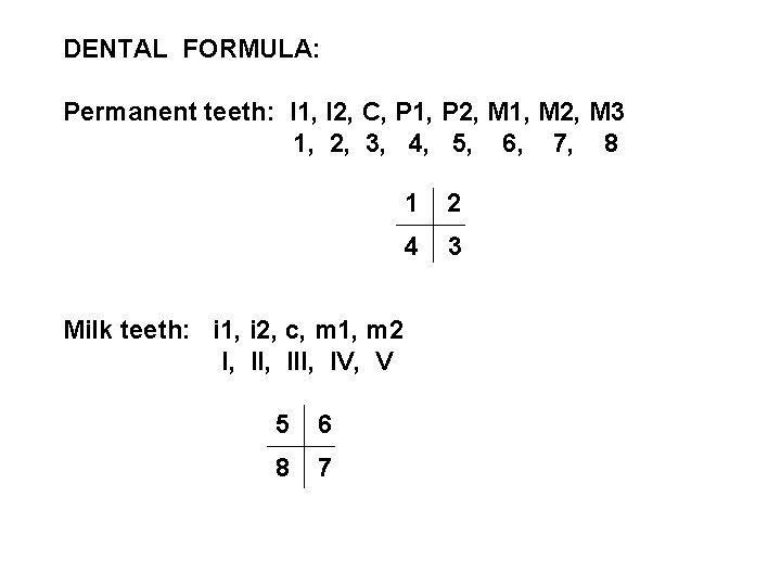 DENTAL FORMULA: Permanent teeth: I 1, I 2, C, P 1, P 2, M