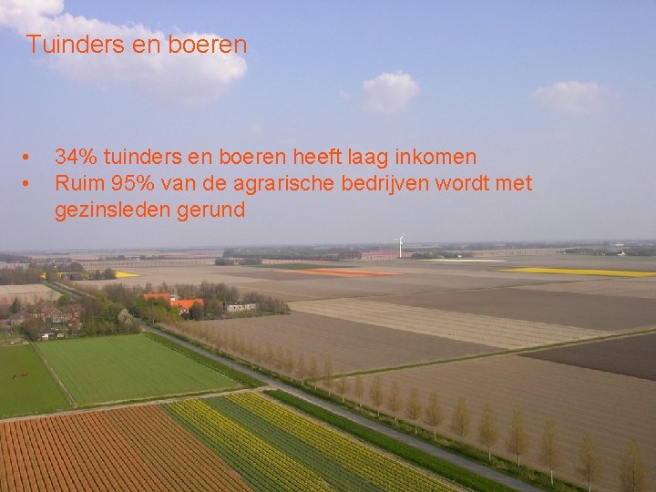 Tuinders en boeren • • 34% tuinders en boeren heeft laag inkomen Ruim 95%