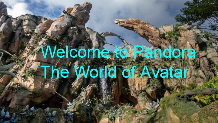 Welcome to Pandora The World of Avatar 
