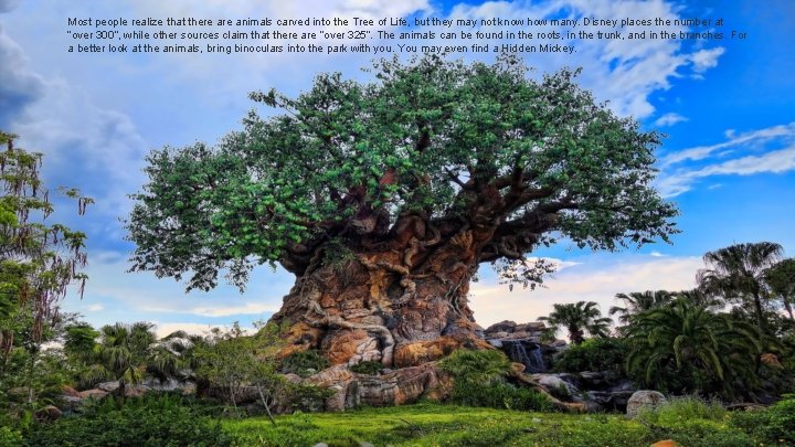 Most people realize that there animals carved into the Tree of Life, but they