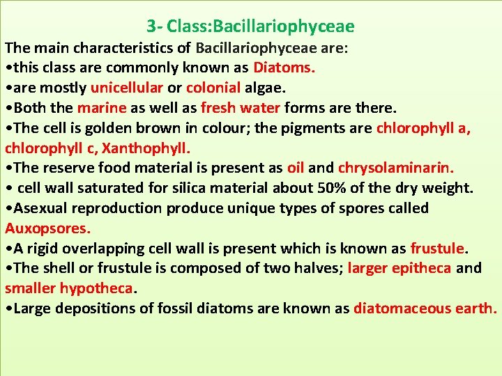 3 - Class: Bacillariophyceae The main characteristics of Bacillariophyceae are: • this class are