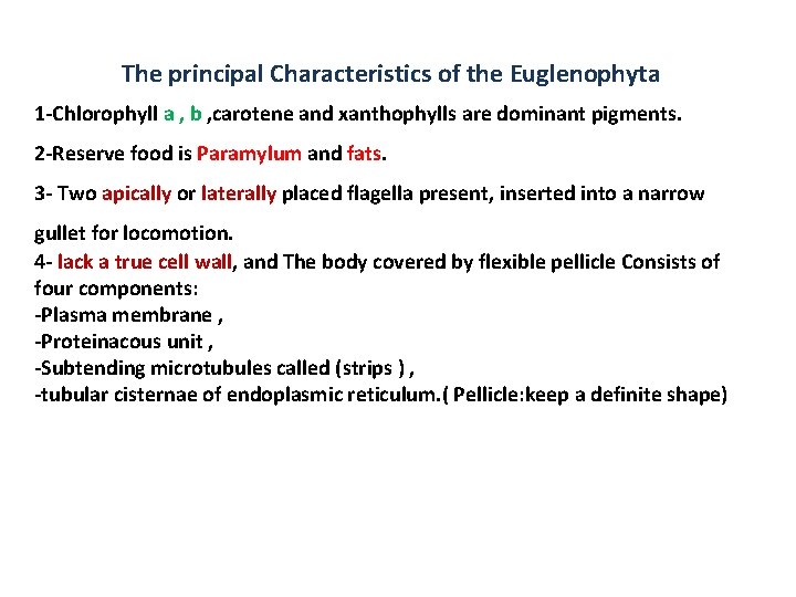 The principal Characteristics of the Euglenophyta 1 -Chlorophyll a , b , carotene and