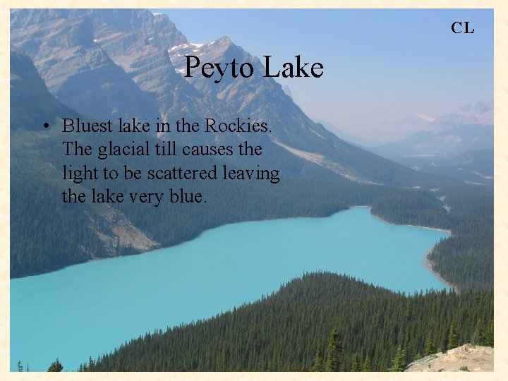 CL Peyto Lake • Bluest lake in the Rockies. The glacial till causes the