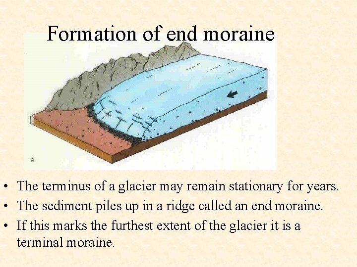 Formation of end moraine • The terminus of a glacier may remain stationary for