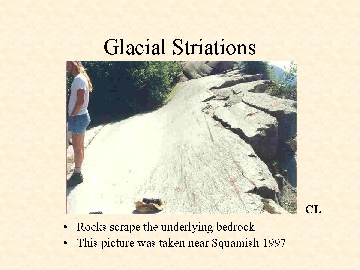 Glacial Striations CL • Rocks scrape the underlying bedrock • This picture was taken