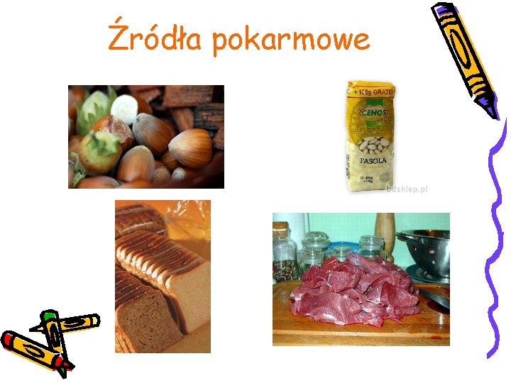 Źródła pokarmowe 