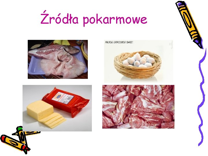 Źródła pokarmowe 