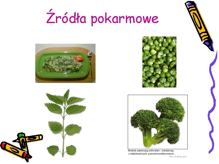 Źródła pokarmowe 