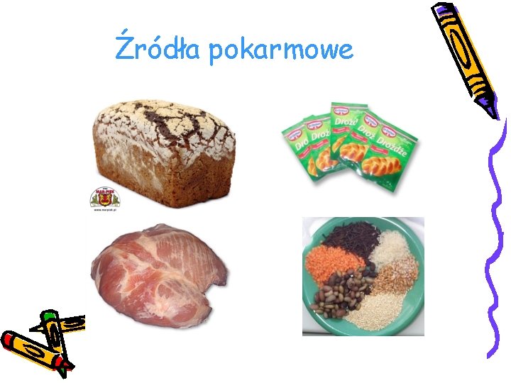 Źródła pokarmowe 