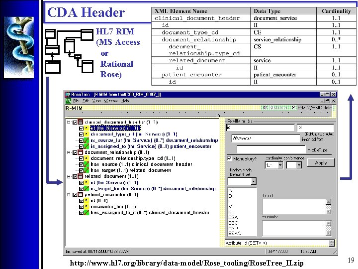 CDA Header HL 7 RIM (MS Access or Rational Rose) http: //www. hl 7.