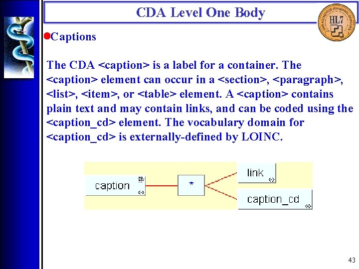 CDA Level One Body • Captions The CDA <caption> is a label for a
