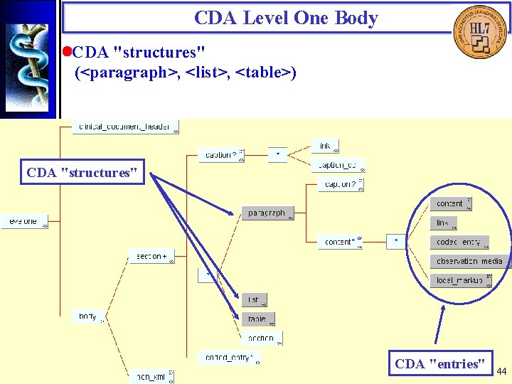 CDA Level One Body • CDA "structures" (<paragraph>, <list>, <table>) CDA "structures" CDA "entries"