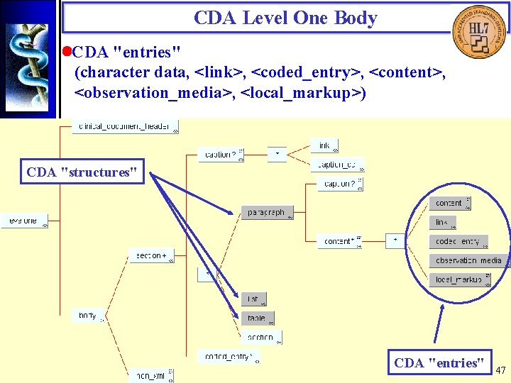 CDA Level One Body • CDA "entries" (character data, <link>, <coded_entry>, <content>, <observation_media>, <local_markup>)