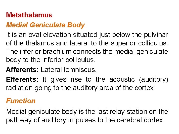 Metathalamus Medial Geniculate Body It is an oval elevation situated just below the pulvinar