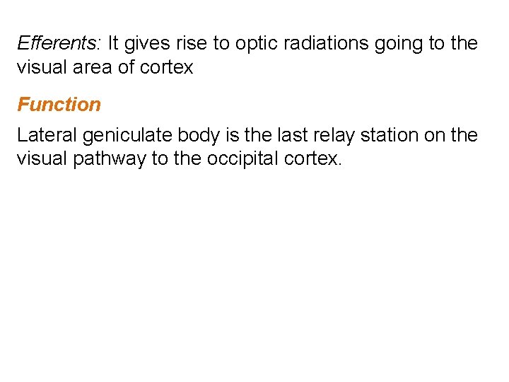 Efferents: It gives rise to optic radiations going to the visual area of cortex