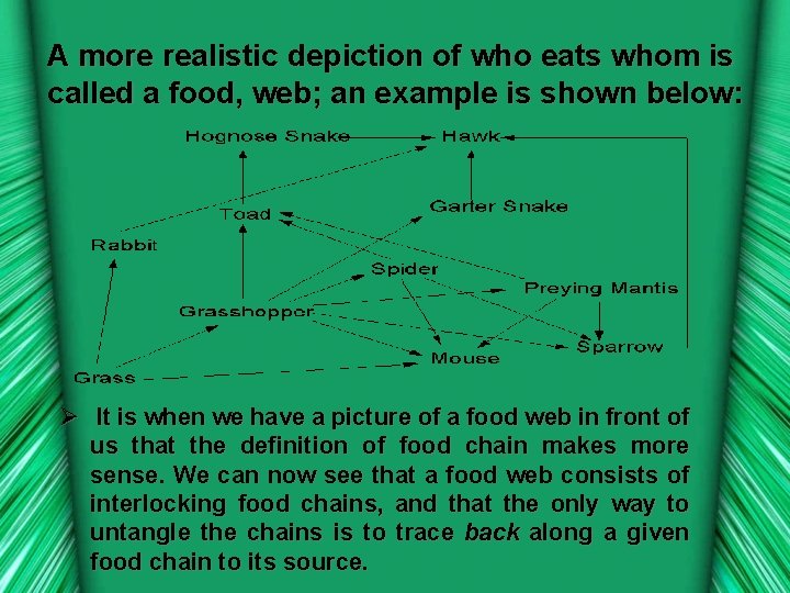 A more realistic depiction of who eats whom is called a food, web; an