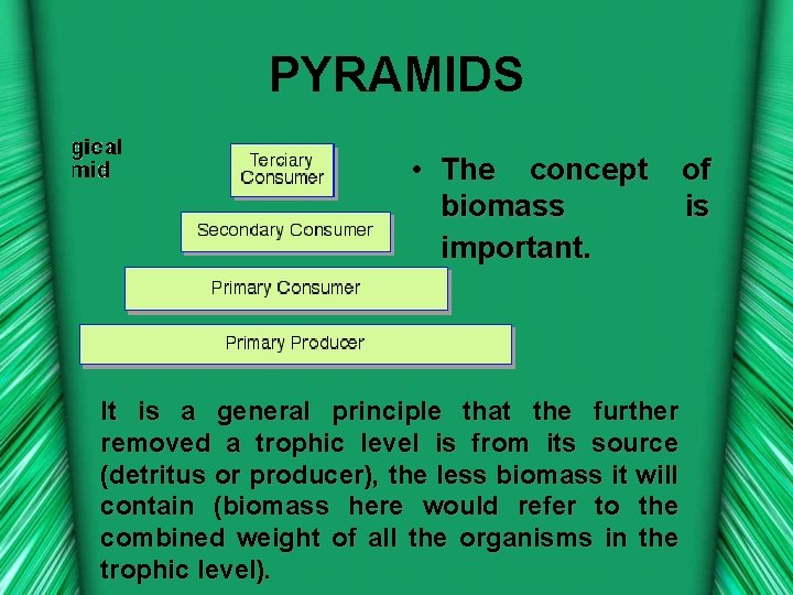 PYRAMIDS • The concept biomass important. It is a general principle that the further