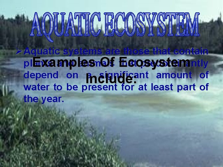 Ø Aquatic systems are those that contain plants and animals predominantly Examples Of that
