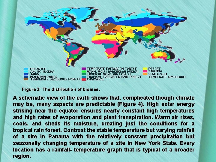 Figure 3: The distribution of biomes. A schematic view of the earth shows that,
