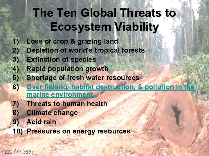 The Ten Global Threats to Ecosystem Viability 1) 2) 3) 4) 5) 6) Loss