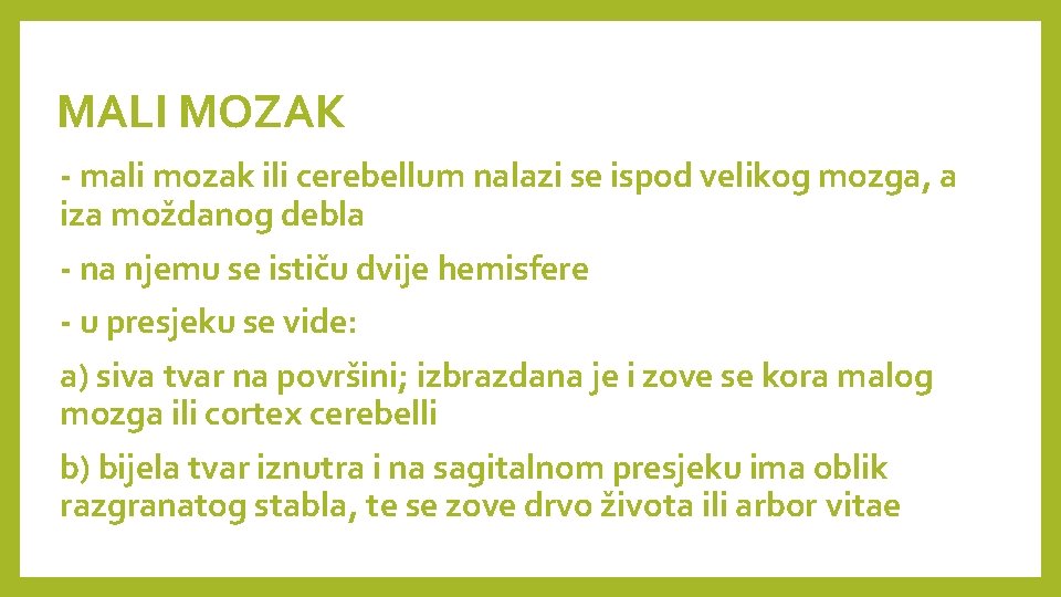 MALI MOZAK - mali mozak ili cerebellum nalazi se ispod velikog mozga, a iza