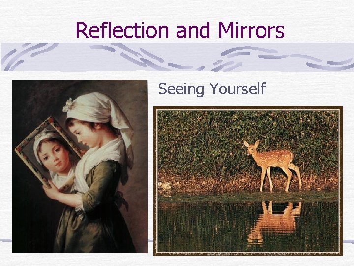 Reflection and Mirrors Seeing Yourself 