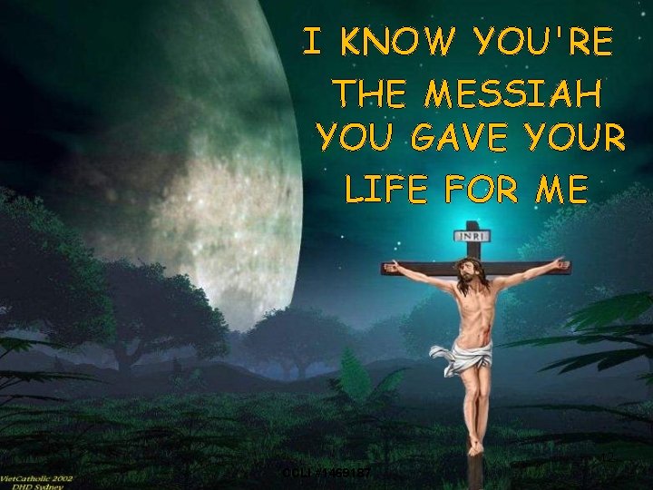 I KNOW YOU'RE THE MESSIAH YOU GAVE YOUR LIFE FOR ME 12 CCLI #1469187