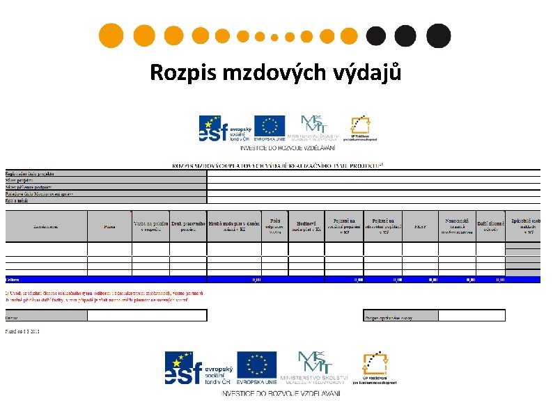 Rozpis mzdových výdajů 