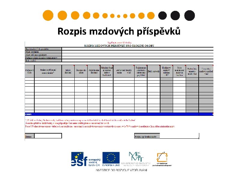 Rozpis mzdových příspěvků 