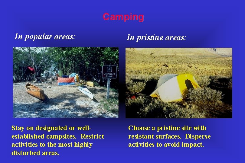 Camping In popular areas: Stay on designated or wellestablished campsites. Restrict activities to the