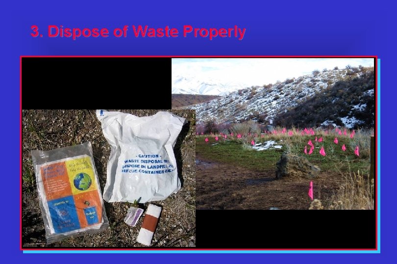 3. Dispose of Waste Properly 